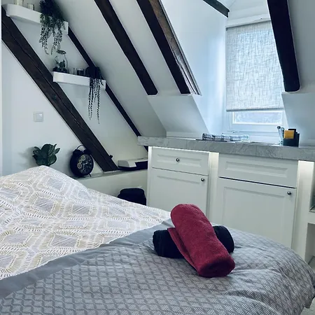 Cocon Au Coeur De Strasbourg